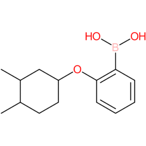 (2-[(3,4-dimethylcyclohexyl)oxy]phenyl)boronic acid