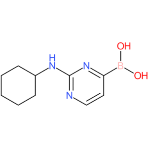 2-(cyclohexylamino)pyrimidin-4-ylboronic acid
