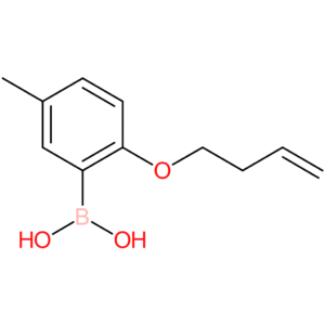[2-(but-3-en-1-yloxy)-5-methylphenyl]boronic acid