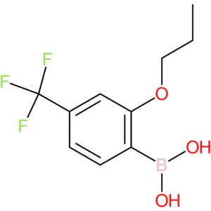2-propoxy-4-(trifluoromethyl)phenylboronic acid
