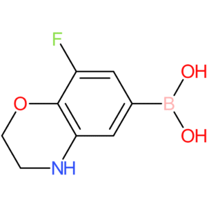 8-fluoro-2,3-dihydro-1,4-benzoxazine-6-boronic acid