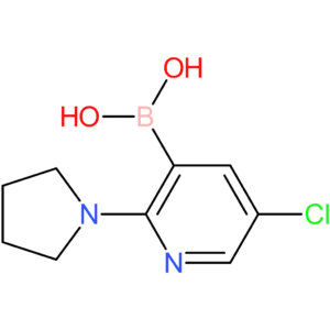 5-chloro-2-pyrrolidinopyridine-3-boronic acid