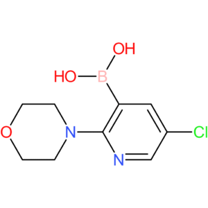 5-chloro-2-(morpholino)pyridine-3-boronic acid