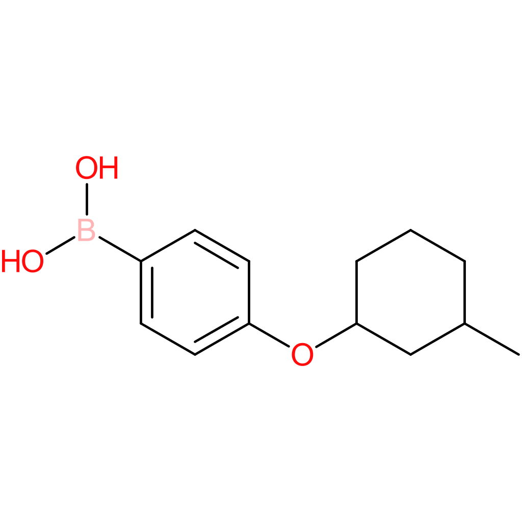 (4-[(3-methylcyclohexyl)oxy]phenyl)boronic acid