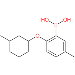 (5-methyl-2-[(3-methylcyclohexyl)oxy]phenyl)boronic acid