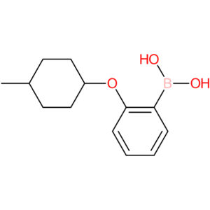 (2-[(4-methylcyclohexyl)oxy]phenyl)boronic acid