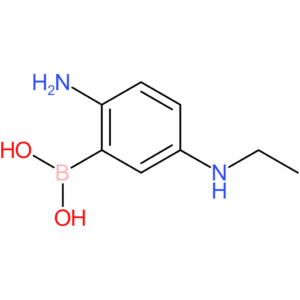 [2-amino-5-(ethylamino)phenyl]boronic acid
