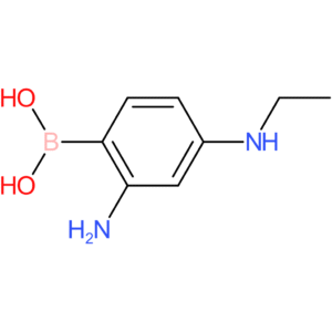 [2-amino-4-(ethylamino)phenyl]boronic acid