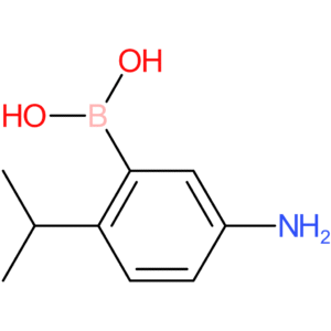 [5-amino-2-(propan-2-yl)phenyl]boronic acid