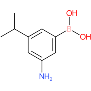 [3-amino-5-(propan-2-yl)phenyl]boronic acid