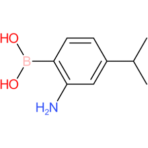 [2-amino-4-(propan-2-yl)phenyl]boronic acid