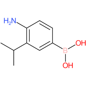 [4-amino-3-(propan-2-yl)phenyl]boronic acid