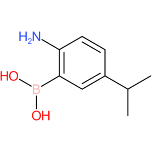 [2-amino-5-(propan-2-yl)phenyl]boronic acid