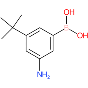 (3-amino-5-tert-butylphenyl)boronic acid