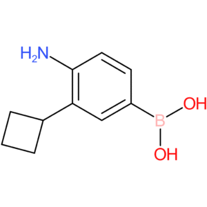 (4-amino-3-cyclobutylphenyl)boronic acid