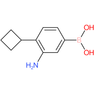 (3-amino-4-cyclobutylphenyl)boronic acid