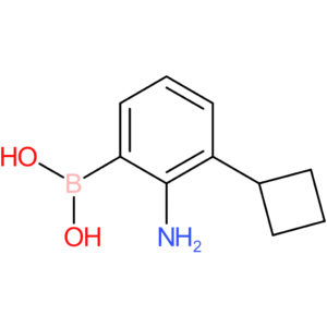 (2-amino-3-cyclobutylphenyl)boronic acid