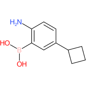 (2-amino-5-cyclobutylphenyl)boronic acid