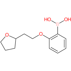 (2-[2-(oxolan-2-yl)ethoxy]phenyl)boronic acid