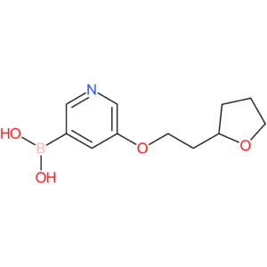 (5-[2-(oxolan-2-yl)ethoxy]pyridin-3-yl)boronic acid