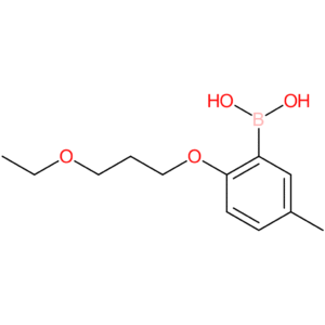 [2-(3-ethoxypropoxy)-5-methylphenyl]boronic acid