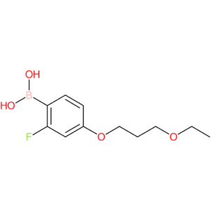 [4-(3-ethoxypropoxy)-2-fluorophenyl]boronic acid