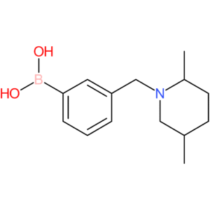 (3-[(2,5-dimethylpiperidin-1-yl)methyl]phenyl)boronic acid