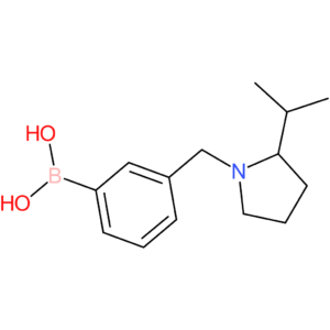 (3-([2-(propan-2-yl)pyrrolidin-1-yl]methyl)phenyl)boronic acid