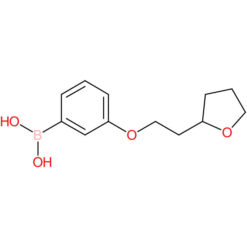 (3-[2-(oxolan-2-yl)ethoxy]phenyl)boronic acid