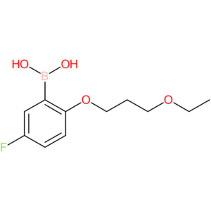 [2-(3-ethoxypropoxy)-5-fluorophenyl]boronic acid