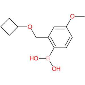 [2-(cyclobutoxymethyl)-4-methoxyphenyl]boronic acid