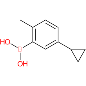 6-methyl-3-cyclopropylphenylboronic acid