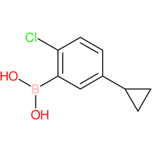 6-chloro-3-cyclopropylphenylboronic acid