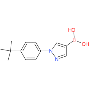 1-(4-tert-butylphenyl)-1h-pyrazolE-4-boronic acid