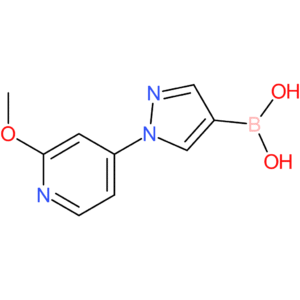 1-(2-methoxy-4-pyridyl)-1h-pyrazolE-4-boronic acid