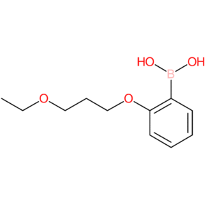 [2-(3-ethoxypropoxy)phenyl]boronic acid