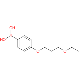 [4-(3-ethoxypropoxy)phenyl]boronic acid