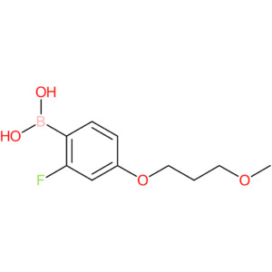 [2-fluoro-4-(3-methoxypropoxy)phenyl]boronic acid
