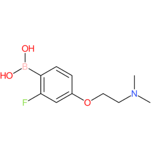 (4-[2-(dimethylamino)ethoxy]-2-fluorophenyl)boronic acid