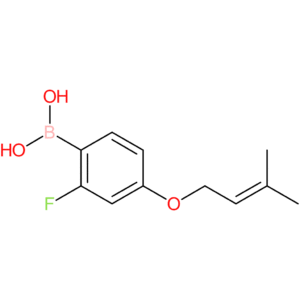 (2-fluoro-4-[(3-methylbut-2-en-1-yl)oxy]phenyl)boronic acid
