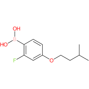 [2-fluoro-4-(3-methylbutoxy)phenyl]boronic acid