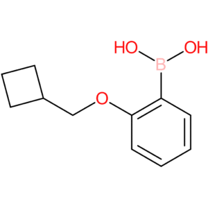 [2-(cyclobutylmethoxy)phenyl]boronic acid