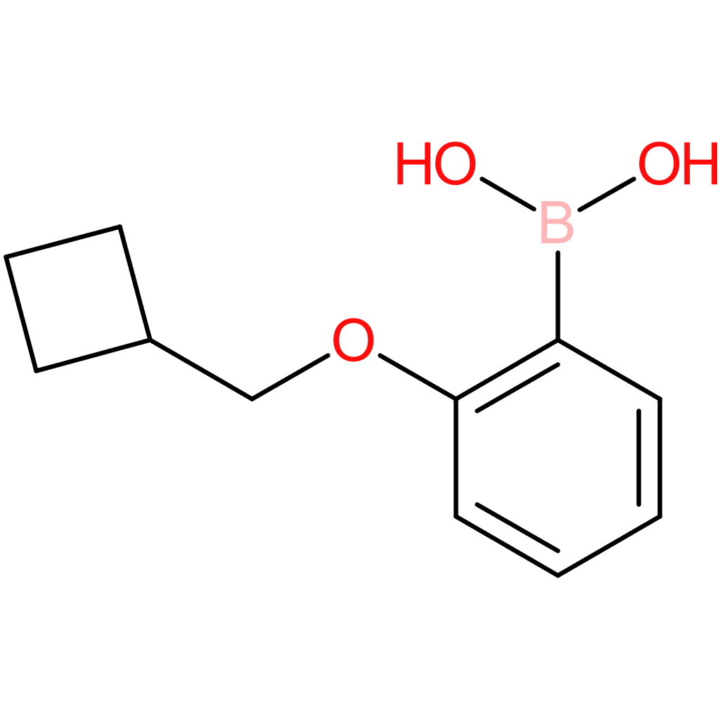 [2-(cyclobutylmethoxy)phenyl]boronic acid