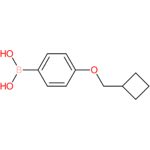 [4-(cyclobutylmethoxy)phenyl]boronic acid