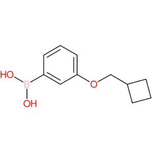 [3-(cyclobutylmethoxy)phenyl]boronic acid