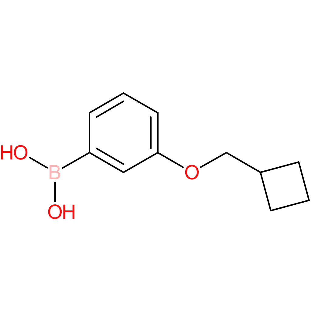 [3-(cyclobutylmethoxy)phenyl]boronic acid