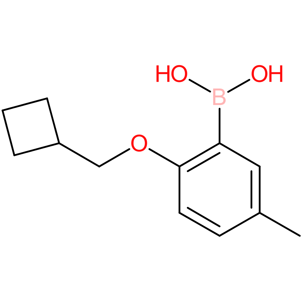 [2-(cyclobutylmethoxy)-5-methylphenyl]boronic acid