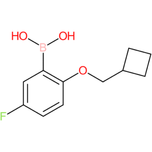 [2-(cyclobutylmethoxy)-5-fluorophenyl]boronic acid