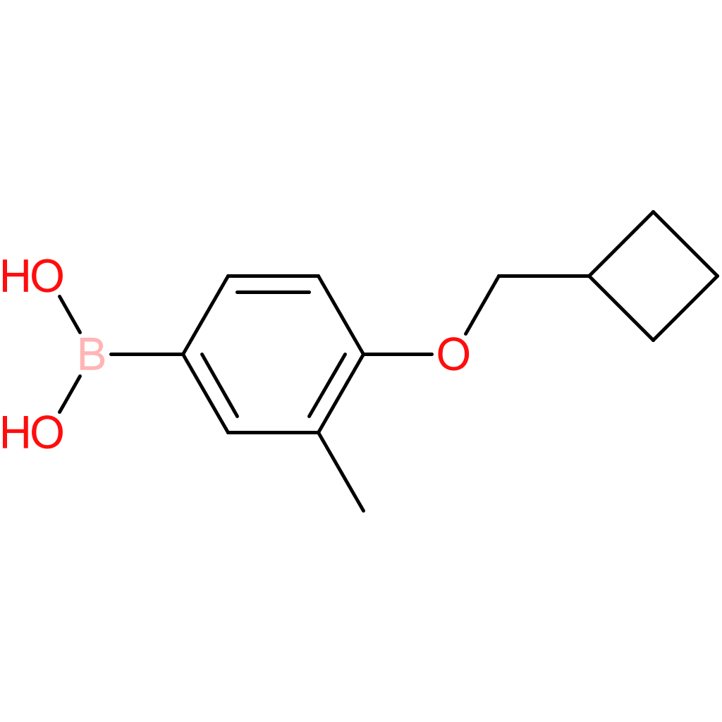 [4-(cyclobutylmethoxy)-3-methylphenyl]boronic acid