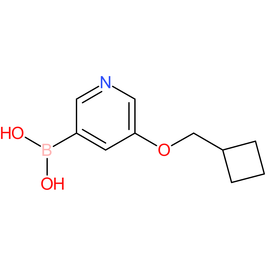 [5-(cyclobutylmethoxy)pyridin-3-yl]boronic acid